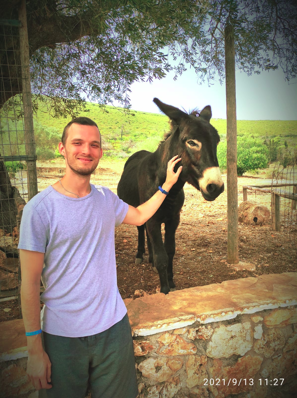 Mateusz